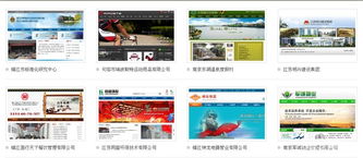 專業(yè)網(wǎng)站設(shè)計(jì)與優(yōu)化，誠(chéng)信服務(wù)與無(wú)憂維護(hù)——您公司的明智選擇